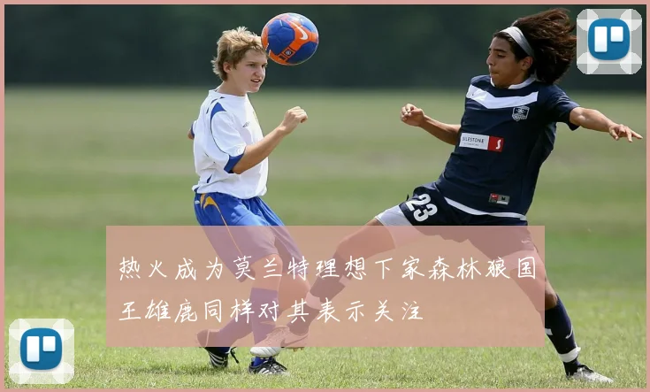 热火成为莫兰特理想下家森林狼国王雄鹿同样对其表示关注