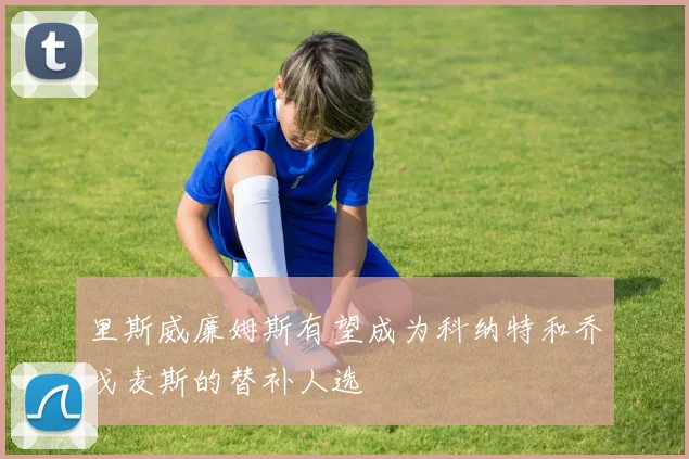 里斯威廉姆斯有望成为科纳特和乔戈麦斯的替补人选