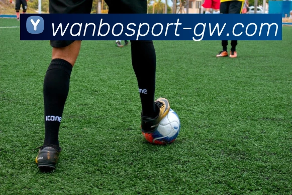 万博体育平台生态图